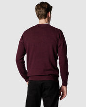 Load image into Gallery viewer, Model wearing Rodd &amp; Gunn - Queenstown Sweater in Rust - back.
