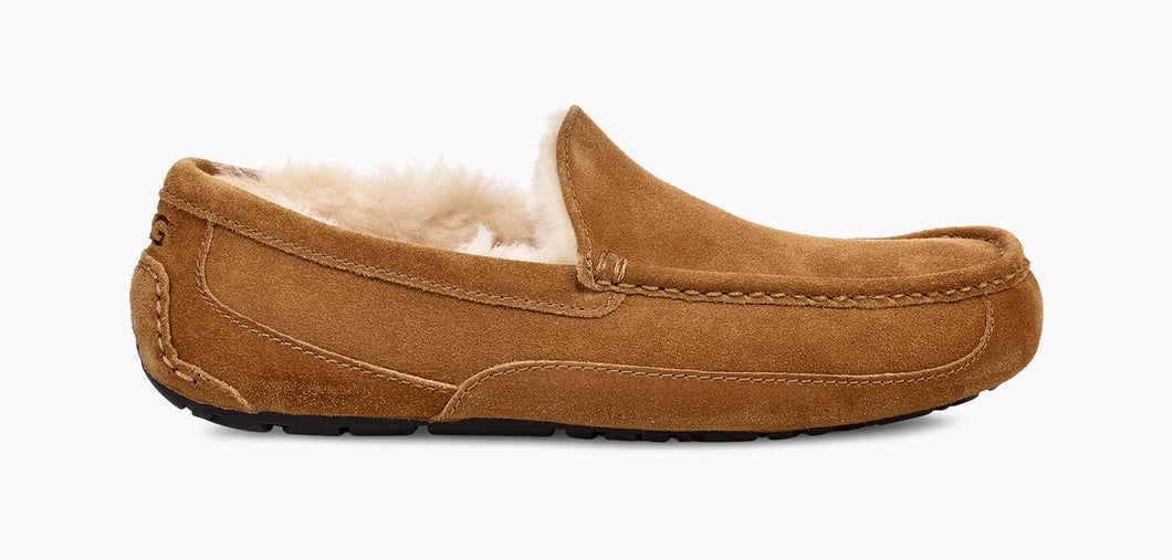 UGG - Ascot Slipper