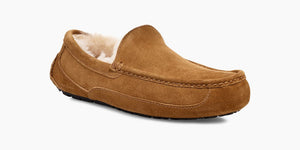 UGG - Ascot Slipper