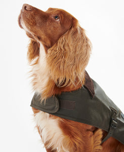 Barbour Wax Dog Coat in Olive.